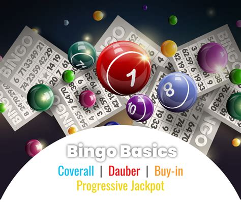 The Beginner's Guide to Casino Bingo! .